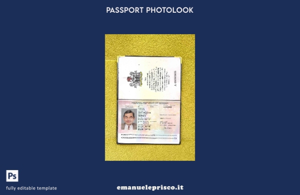 modello di aspetto fotografico del passaporto della Nigeria in stile verificato 
